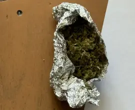Foto Dosar penal: Pachet cu resturi vegetale psihoactive aruncat la gunoi, descoperit de jandarmi în Slatina