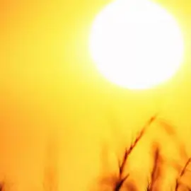 Foto Revine vremea caniculară. Oltul, sub Cod Galben până miercuri dimineaţă
