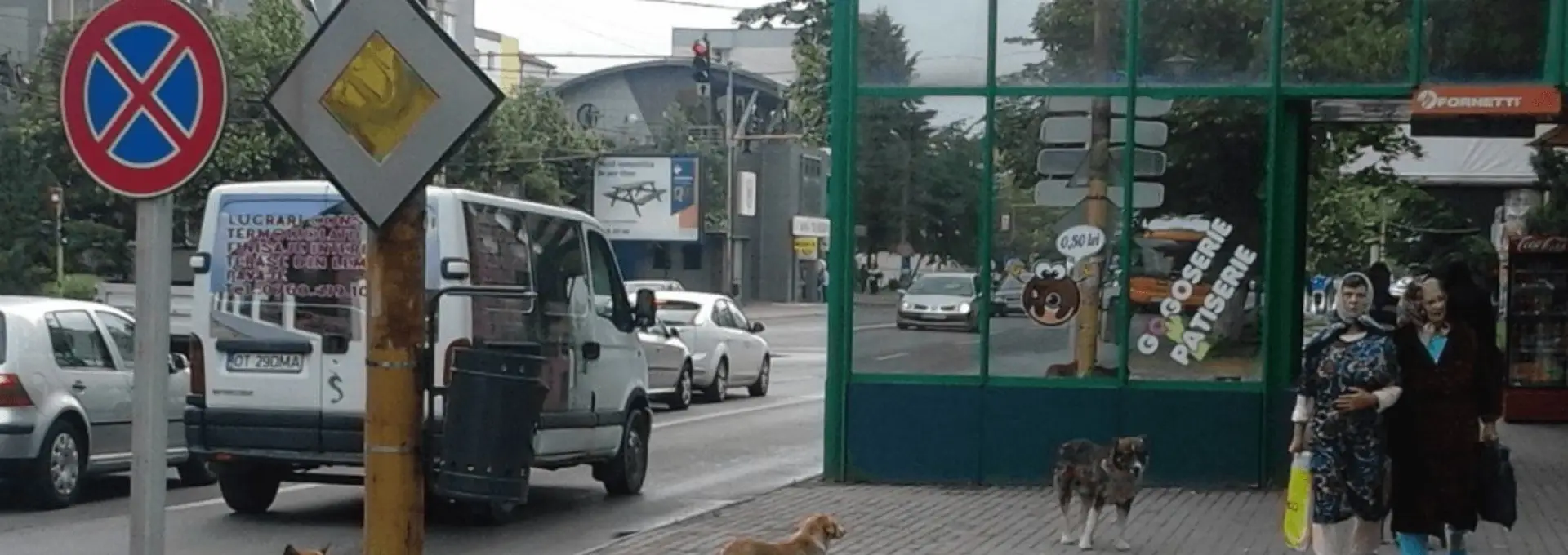 Foto Criză declanşată de primarul De Mezzo. Fără adăpost la Slatina, nici câinii din Caracal nu mai pot fi preluați