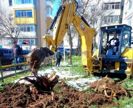 Foto Firmă abonată la bani publici, lucrează și cu utilajele  Dezvoltare Urbană Slatina