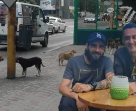 Foto De Mezzo dă Serviciul de ecarisaj prietenului Bălan. DUS va prinde câinii fără stăpân din Slatina