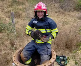 Foto Salvare reuşită la barajul Slătioara: un cățel scos de pompierii din Slatina, dintr-un canal dezafectat 