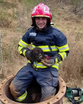 Foto Salvare reuşită la barajul Slătioara: un cățel scos de pompierii din Slatina, dintr-un canal dezafectat 