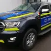 Imagine O femeie, din Slatina, surprinsă când abandona trei pisici pe strada Nucului. Ce sancţiune i-a fost aplicată