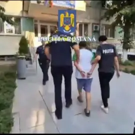 Foto    Bărbat, din Găneasa, reţinut pentru lovirea unui câine