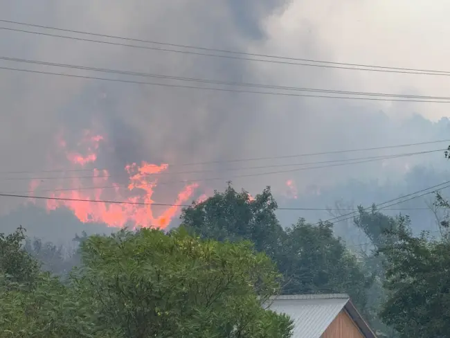 Foto Incendiu violent în Cungrea. Focul de la vegetaţie s-a extins la casele oamenilor