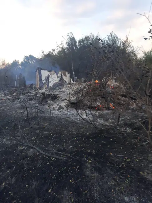 Foto Incendiu violent în Cungrea. Focul de la vegetaţie s-a extins la casele oamenilor