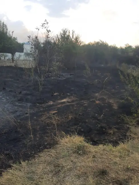Foto Incendiu violent în Cungrea. Focul de la vegetaţie s-a extins la casele oamenilor