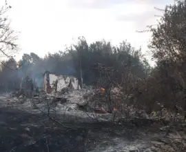 Foto Incendiu violent în Cungrea. Focul de la vegetaţie s-a extins la casele oamenilor