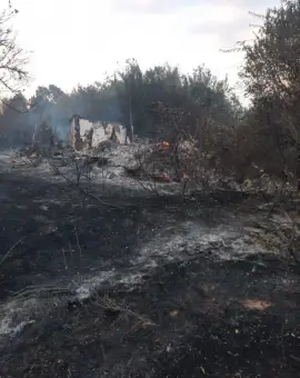 Foto Incendiu violent în Cungrea. Focul de la vegetaţie s-a extins la casele oamenilor