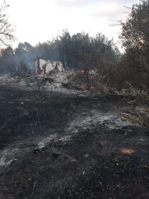Foto Incendiu violent în Cungrea. Focul de la vegetaţie s-a extins la casele oamenilor