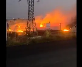 Foto Incendiu de vegetaţie, în zona Barajului de la Slătioara. VIDEO