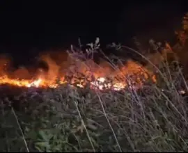 Foto VIDEO. Incendiu azi-noaptea şi în localitatea Milcov