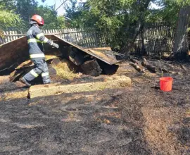 Foto 15 hectare de vegetaţie şi patru gospodării afectate în incendiul din Milcovul din Vale