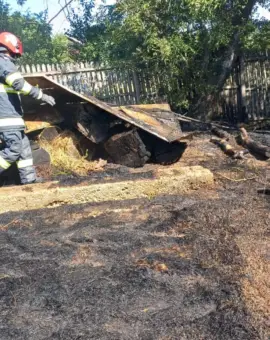 Foto 15 hectare de vegetaţie şi patru gospodării afectate în incendiul din Milcovul din Vale