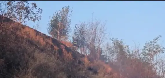 Foto VIDEO. Incendiu izbucnit în Slatina, în zona staţiei de epurare. Flăcările ameninţau zona locuită de pe strada Mânăstirii