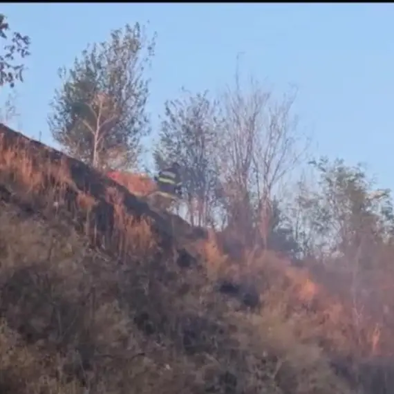 Foto VIDEO. Incendiu izbucnit în Slatina, în zona staţiei de epurare. Flăcările ameninţau zona locuită de pe strada Mânăstirii