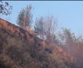 Foto VIDEO. Incendiu izbucnit în Slatina, în zona staţiei de epurare. Flăcările ameninţau zona locuită de pe strada Mânăstirii