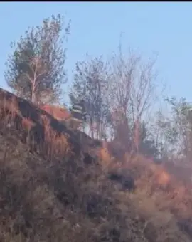 Foto VIDEO. Incendiu izbucnit în Slatina, în zona staţiei de epurare. Flăcările ameninţau zona locuită de pe strada Mânăstirii