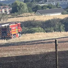 Foto Primarul din Scornicești a luptat cot la cot cu pompierii pentru stingerea unui incendiu de vegetație (VIDEO)
